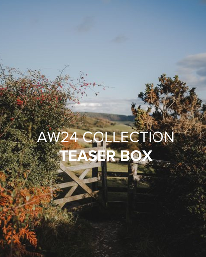 AW24 Teaser Box